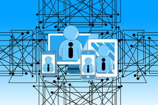 kaiyun网站-中国青少年篮球发展政策实施与推广策略，青少年篮球发展现状及对策研究